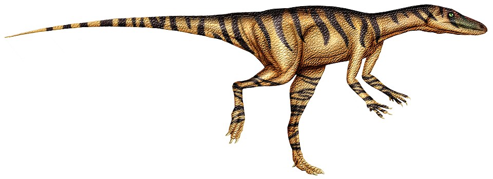 Artist's life restoration of Alwalkeria