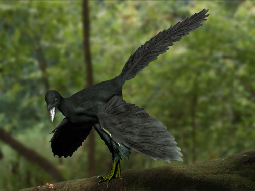 Artist's life restoration of Archaeopteryx