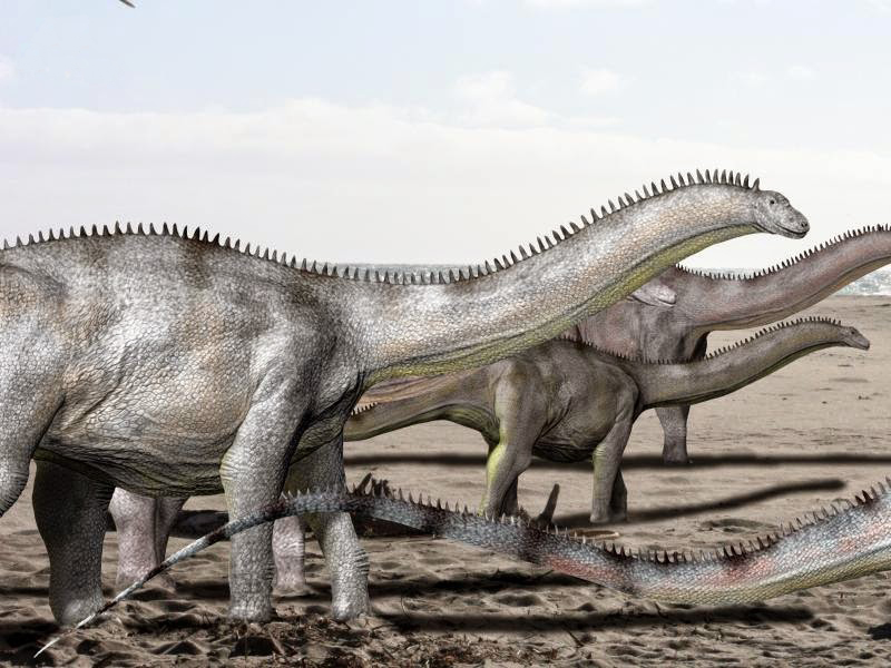 Artist's life restoration of Brontosaurus