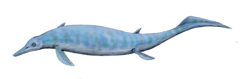 Artist's life restoration of Chaohusaurus