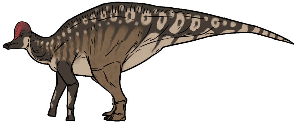 Artist's life restoration of Corythosaurus