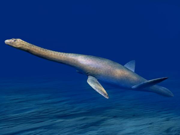 Artist's life restoration of Cryptoclidus