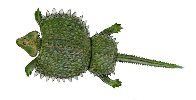 Artist's life restoration of Cyamodus
