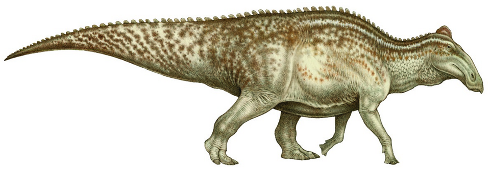 Artist's life restoration of Edmontosaurus