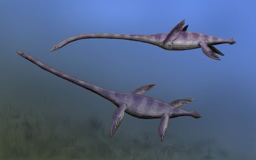Artist's life restoration of Elasmosaurus