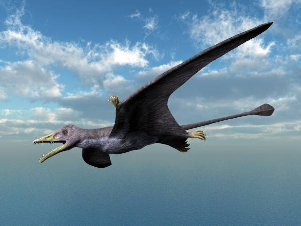 Artist's life restoration of Eudimorphodon