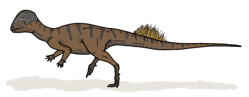 Artist's life restoration of Foraminacephale