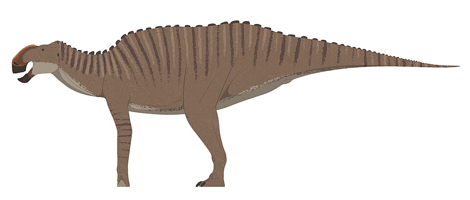 Artist's life restoration of Gryposaurus