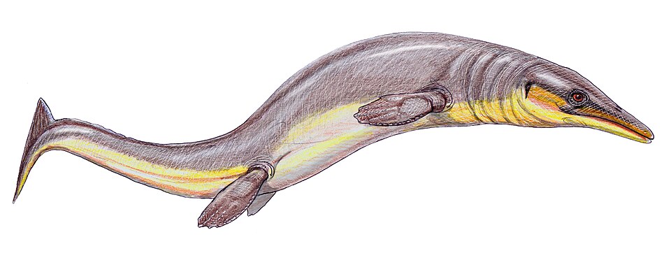 Artist's life restoration of Halisaurus