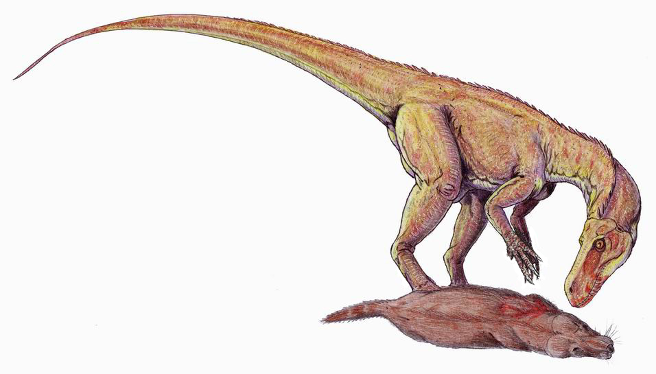 Artist's life restoration of Herrerasaurus