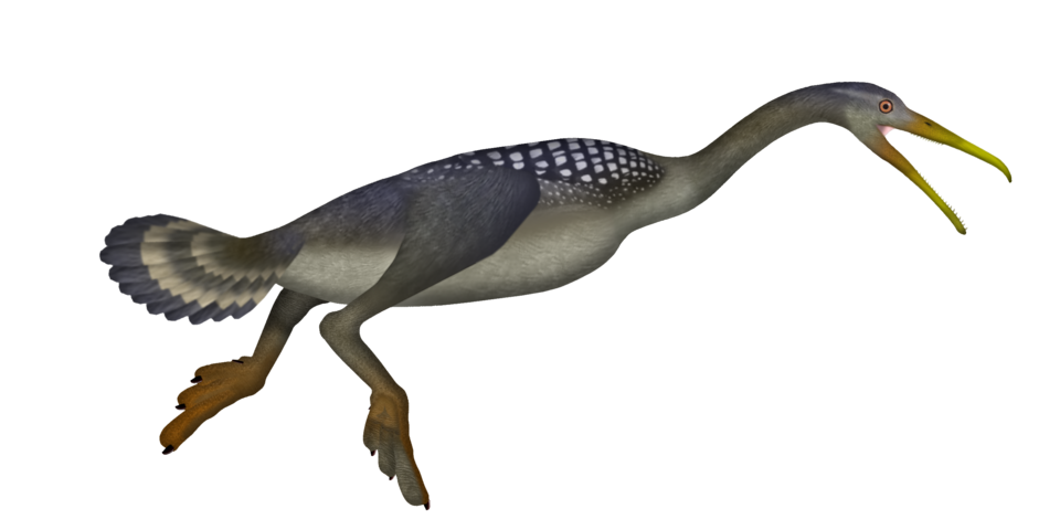 Artist's life restoration of Hesperornis