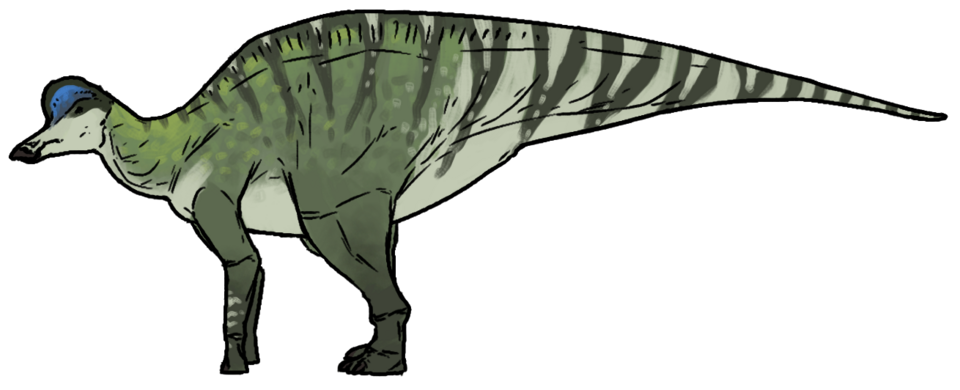 Artist's life restoration of Hypacrosaurus