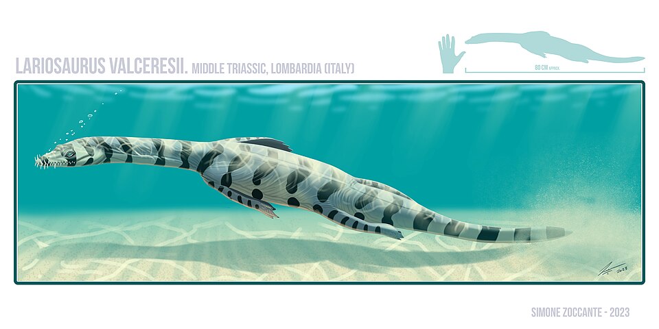 Artist's life restoration of Lariosaurus