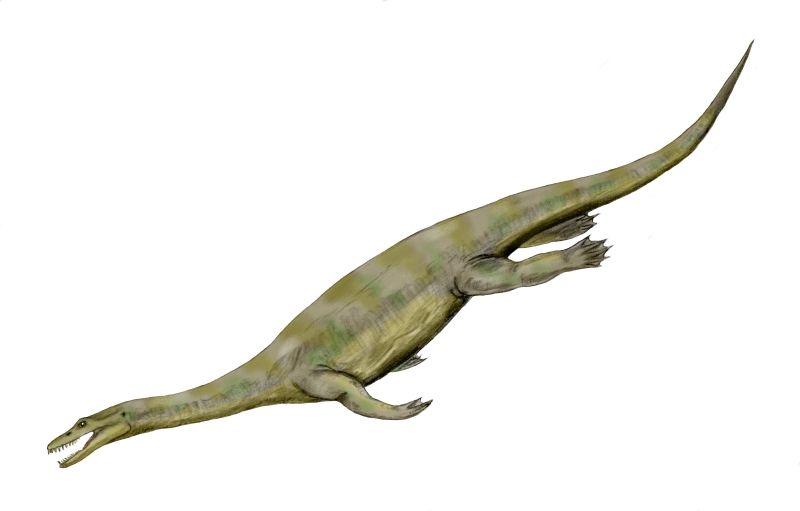 Artist's life restoration of Nothosaurus