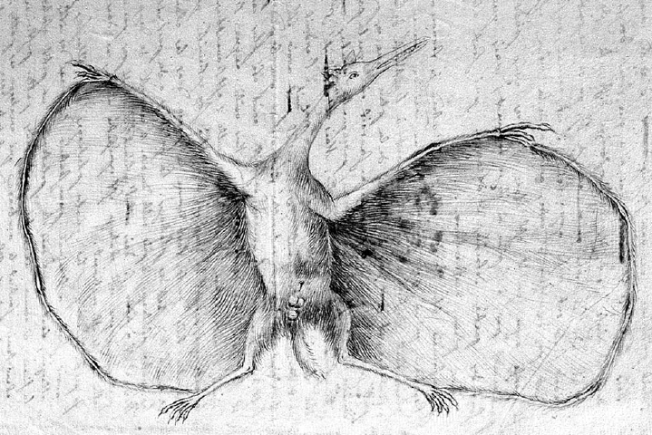 Artist's life restoration of Pterodactylus