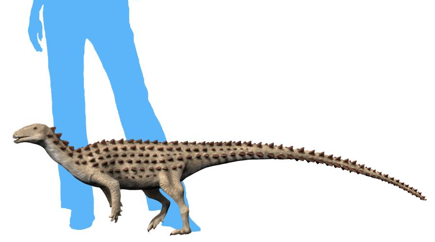 Artist's life restoration of Scutellosaurus