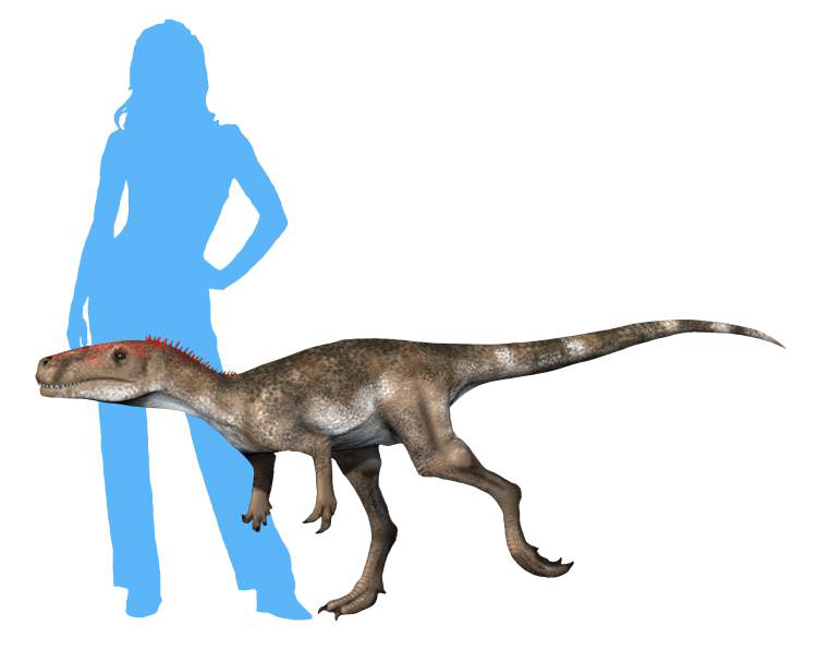 Artist's life restoration of Staurikosaurus