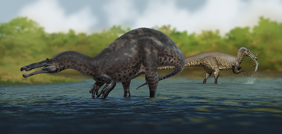 Artist's life restoration of Suchomimus