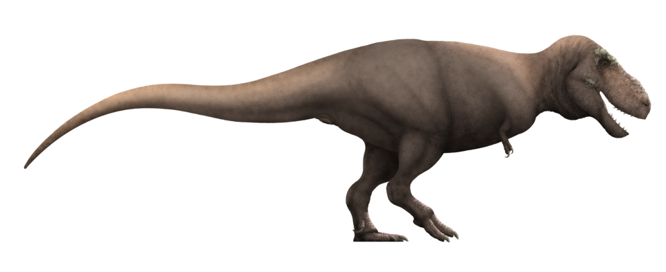 Artist's life restoration of Tarbosaurus