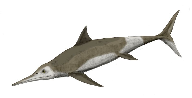 Artist's life restoration of Temnodontosaurus