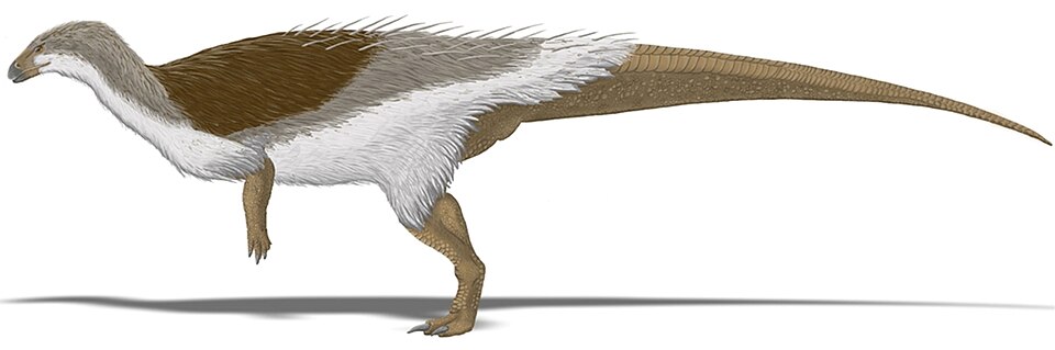 Artist's life restoration of Thescelosaurus